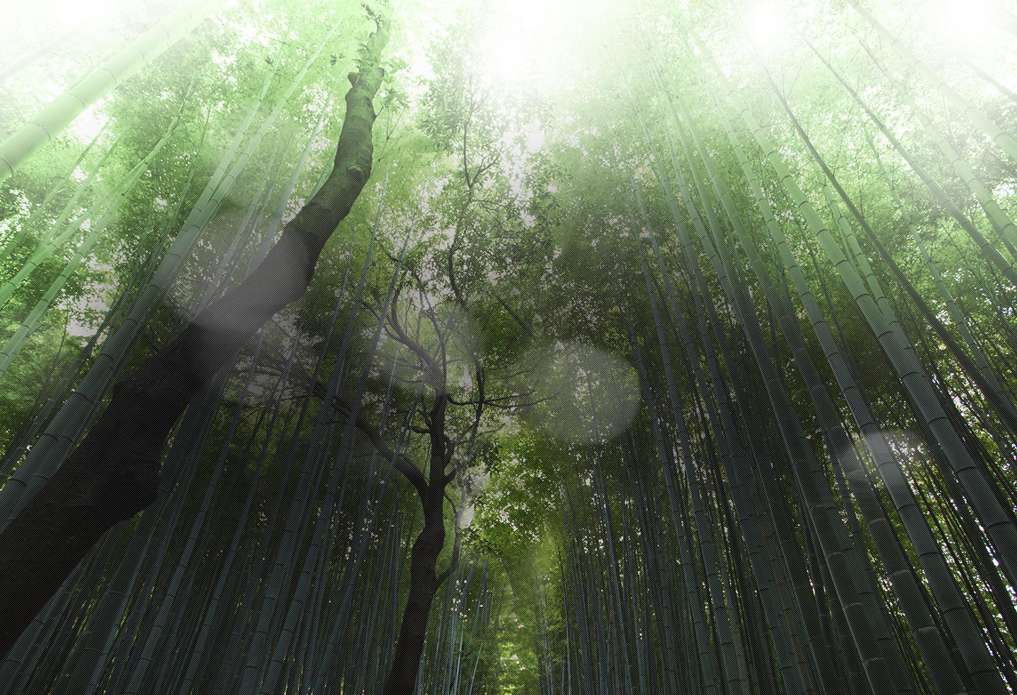 1440_main_slideshow_1