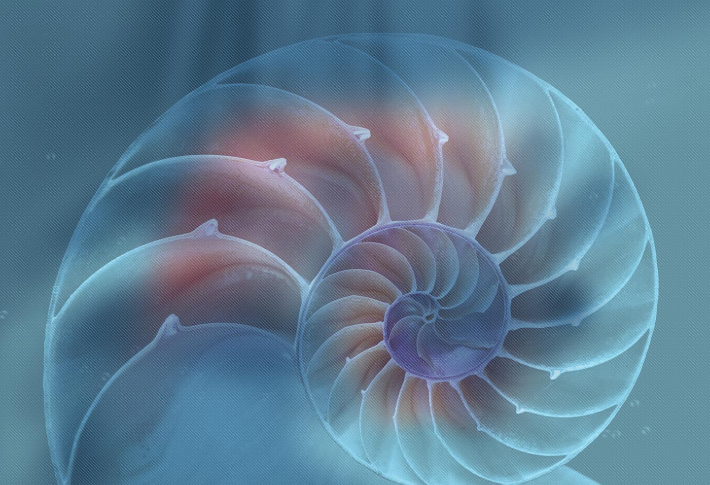 1440_main_slideshow_2